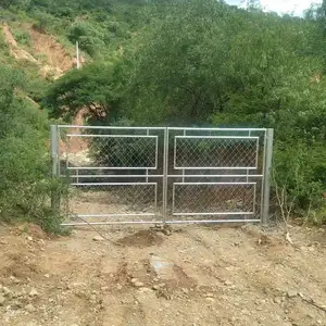 perdida de portón