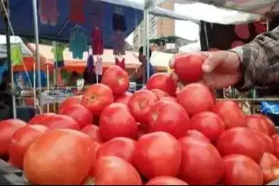 Portada: en cochabamba el tomate llega a bs 500 la caja y desaparece de los mercados por bloqueos