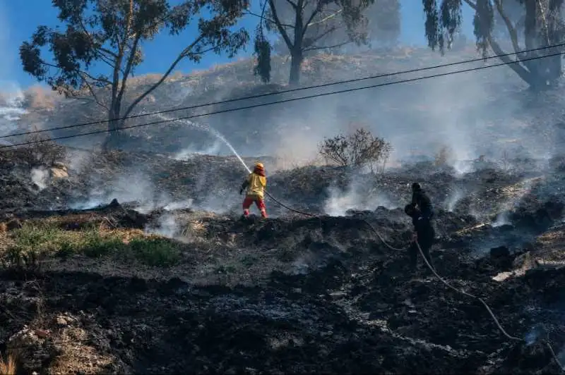 Portada: voraz incendio amenaza el bosquecillo de pura pura en la paz