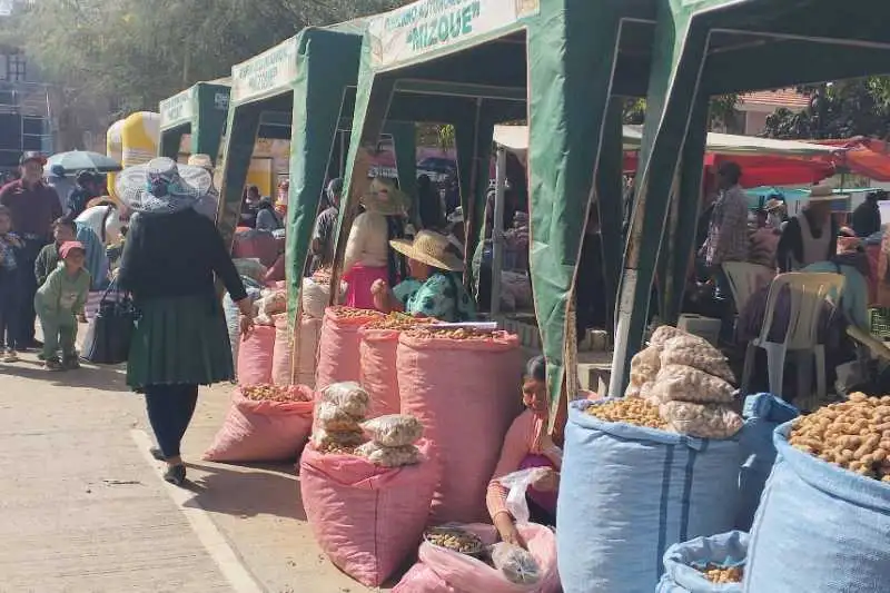 Portada: ii feria del maní y sus derivados fortalece la producción, la gastronomía y el turismo en mizque