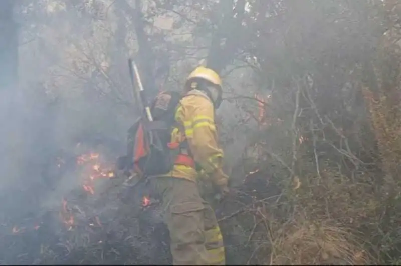 Portada: cochabamba: bomberos retoman las labores para sofocar el incendio que afecta al parque nacional tunari