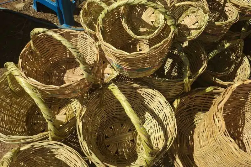 Portada: lanzan la 5.ª feria de cestería y comidas tradicionales en tenería: una fiesta para revalorizar el arte ancestral y la gastronomía local 