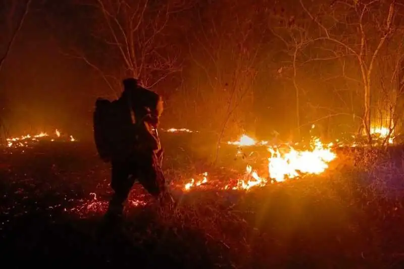 Portada: tarija declara emergencia departamental por los incendios forestales: el fuego ya arrasó al menos 5.000 hectáreas y se investigan posibles quemas provocadas