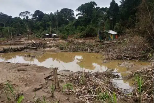 Portada: alerta por la minería ilegal en bolivia: denuncian que contamina el río coroico, golpea al turismo y mueve hasta 4.000 millones de dólares al año