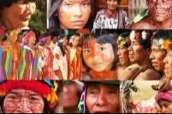 Portada: bolivia enfrenta una crisis lingüística: 30 de sus 36 lenguas originarias están en riesgo de desaparecer
