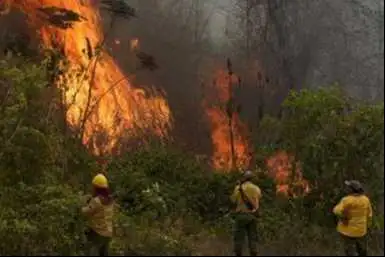 Portada: proponen hasta 30 años de cárcel para quienes provoquen incendios forestales en bolivia