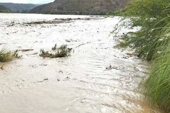 Portada: pojo en emergencia por riadas: al menos 30 hectáreas de manzana fueron afectadas