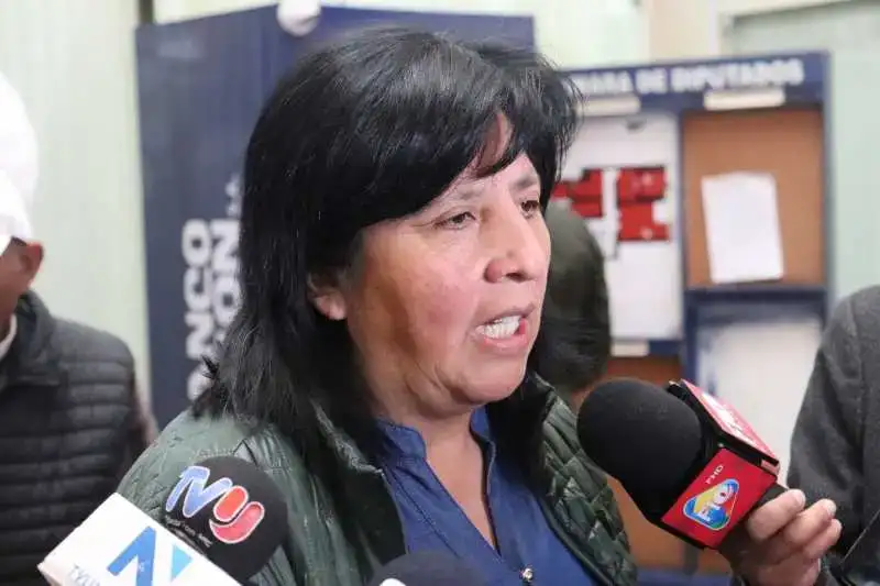 Portada: “ni batman en estos momentos va a recuperar bolivia”, afirma diputada claudia bilbao