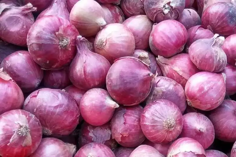 Portada: ¡crisis en mizque! productores de cebolla pierden sus cosechas por bloqueos