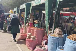 ii feria del maní y sus derivados fortalece la producción, la gastronomía y el turismo en mizque