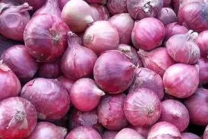 ¡crisis en mizque! productores de cebolla pierden sus cosechas por bloqueos