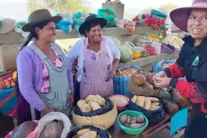resumen del componente de nutricion en pojo, aiquile, totora y pasorapa (año 2022 a 2024)